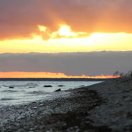 My Little Happy Place *