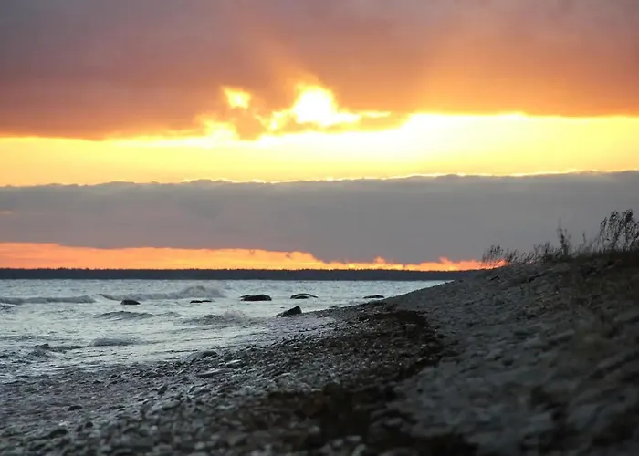 My Little Happy Place *